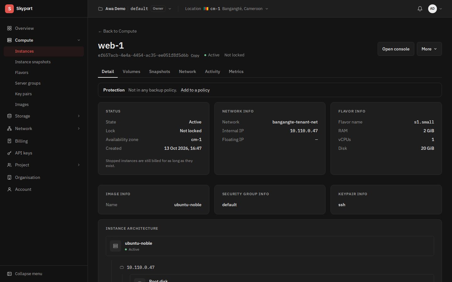 An instance's page: its state, network, flavor, and the tabs.