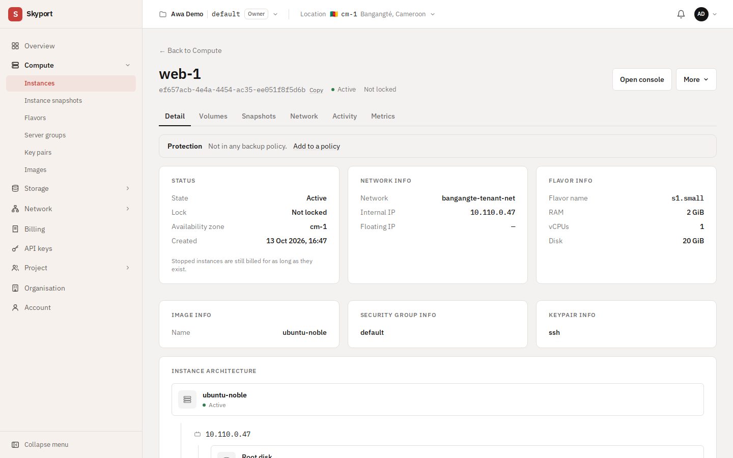 An instance's page: its state, network, flavor, and the tabs.