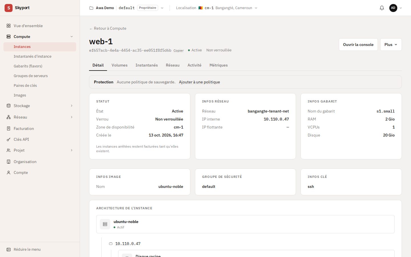 La page d'une instance : son état, son réseau, son gabarit, et les onglets.